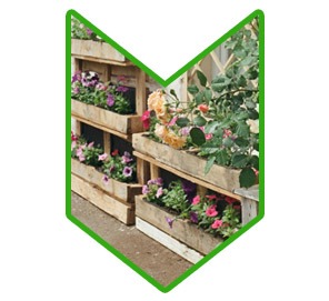 image recyclage bois velux