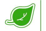 pictogramme feuille